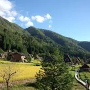 シンの画像