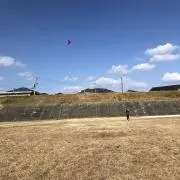 nikkuの画像