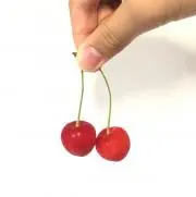 mm30の画像