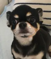 rrchnm