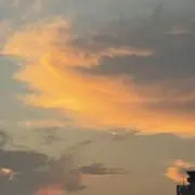 秋の川