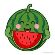 watermelonの画像