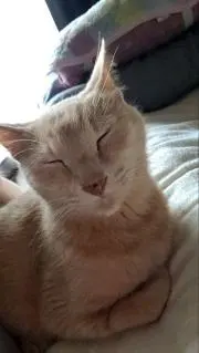 Rie