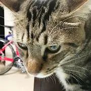 takaの画像