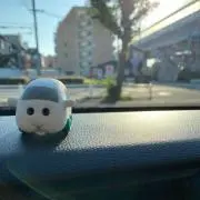 シロモ（5/21-27発送できません）の画像