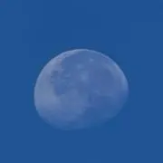 もも