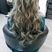 Jellyの画像
