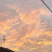 (*ˊᵕˋ*)の画像