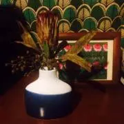 haya
