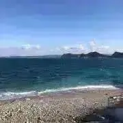 カンナの画像