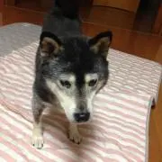 みやっちみやちんの画像