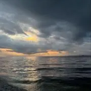 maaの画像