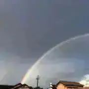 d19の画像