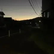 むむの画像