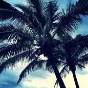m..r