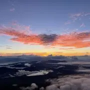 Kinacoの画像