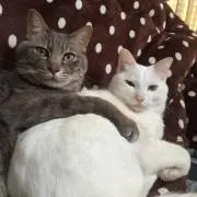 みっちゃん