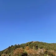 上を向いて歩こうの画像