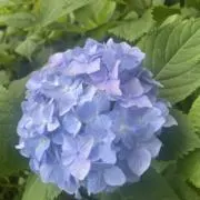 えん　※コメント無しのみ即購入可。の画像