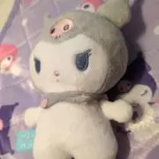 ぽこの画像