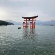 美琴の画像