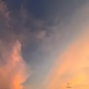 さなの画像