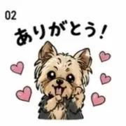 ポンの画像