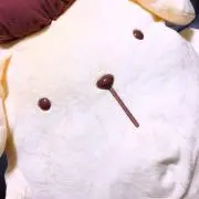 ぽむ。値下げ❌
