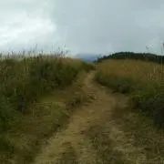 o.mの画像