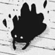 こたちゃんの画像