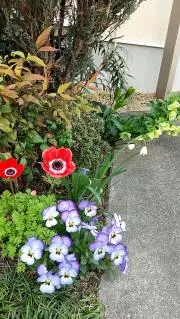 ふむふむの画像