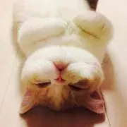 オラフ