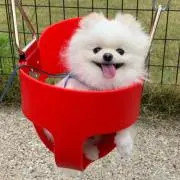 あきすたー