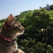 ruru66の画像