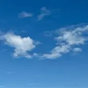 D☆Kの画像