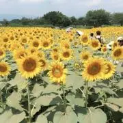 Cinatsumu01030718の画像