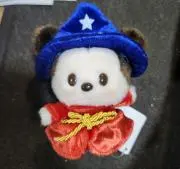 Chii (断捨離中の画像