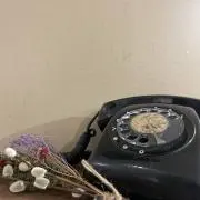まめ  【プロフ必読】の画像