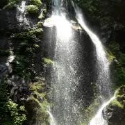 たーぼ