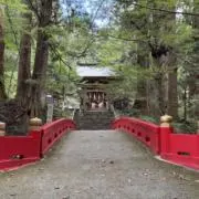 ちゃむぎの画像