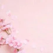 yumiの画像
