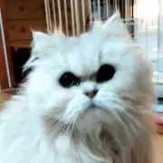 ★ヒデ★の画像