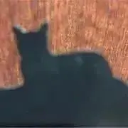 こもの画像