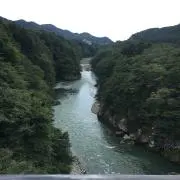 tomasの画像