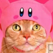 わたぽん　同時購入で割引