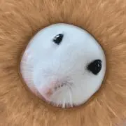 chii