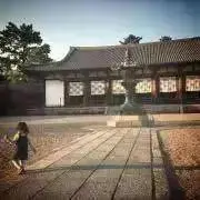 mihanaの画像