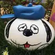 Mikacooの画像
