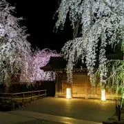 KIKSの画像