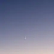 メイの画像